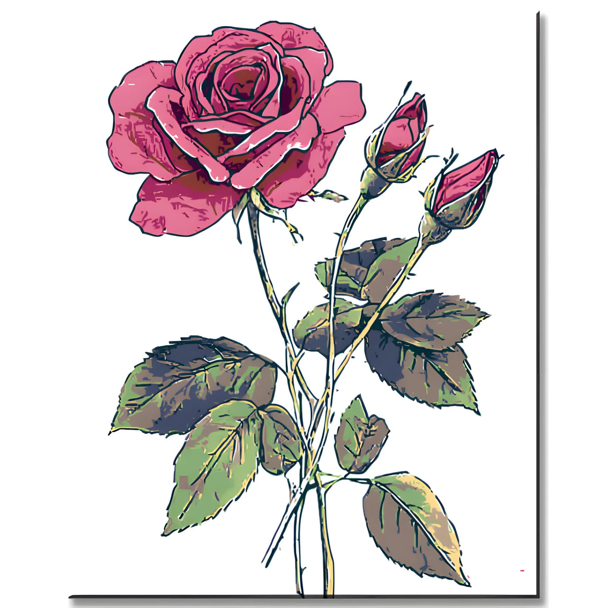 Malen nach Zahlen Bilder Rosenzweig