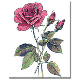 Malen nach Zahlen Bilder Rosenzweig