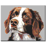 Malen nach Zahlen Hunde Irish Setter