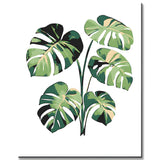 Malen nach Zahlen Monstera Blätter