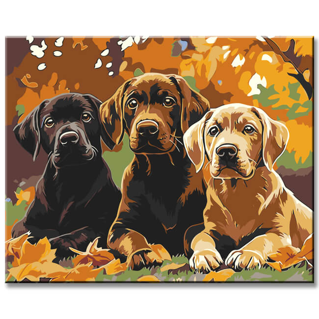 Malen nach Zahlen 3 hunde