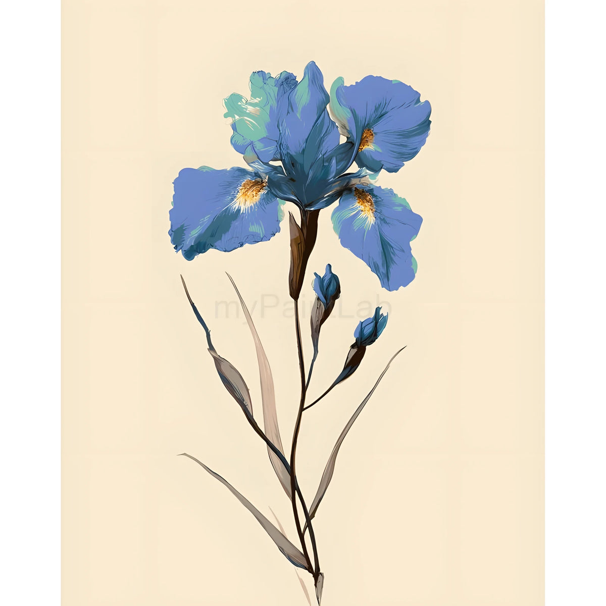 Malen nach Zahlen für Erwachsene Blumen Iris