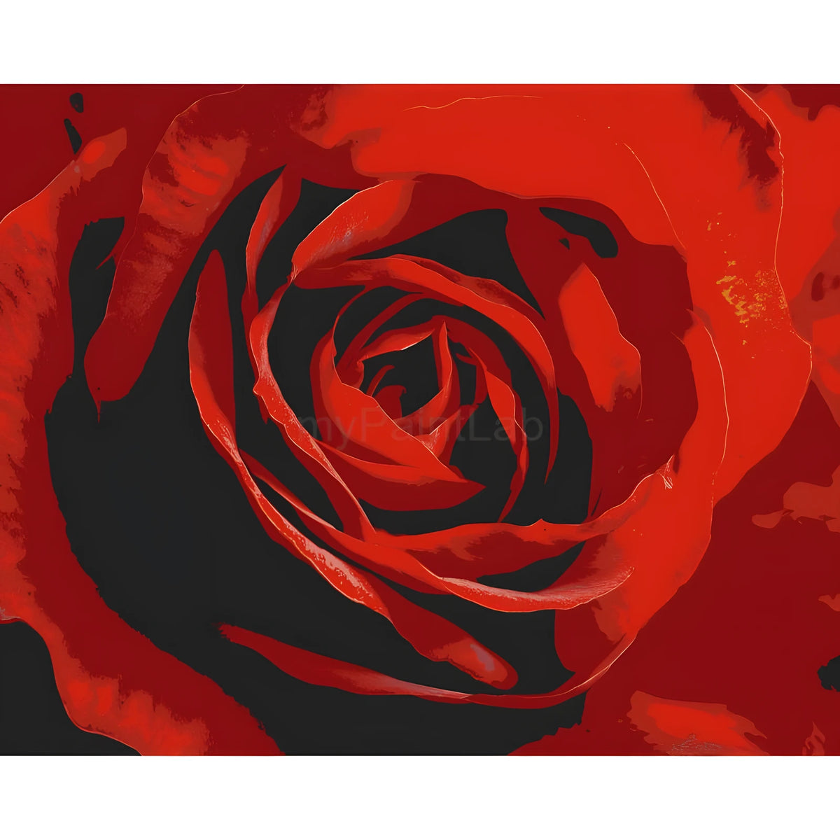 Malen nach Zahlen für Erwachsene Rose