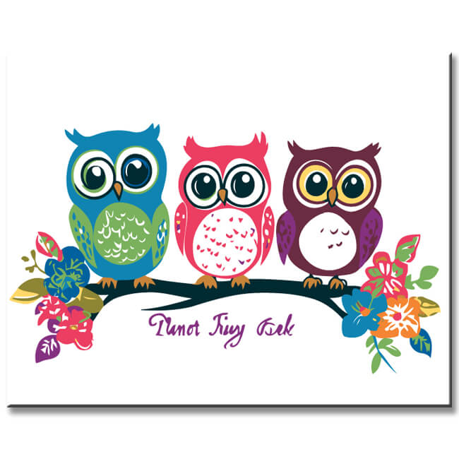 Malen nach Zahlen für Erwachsene Tiere Comic 3 Liebeseulen