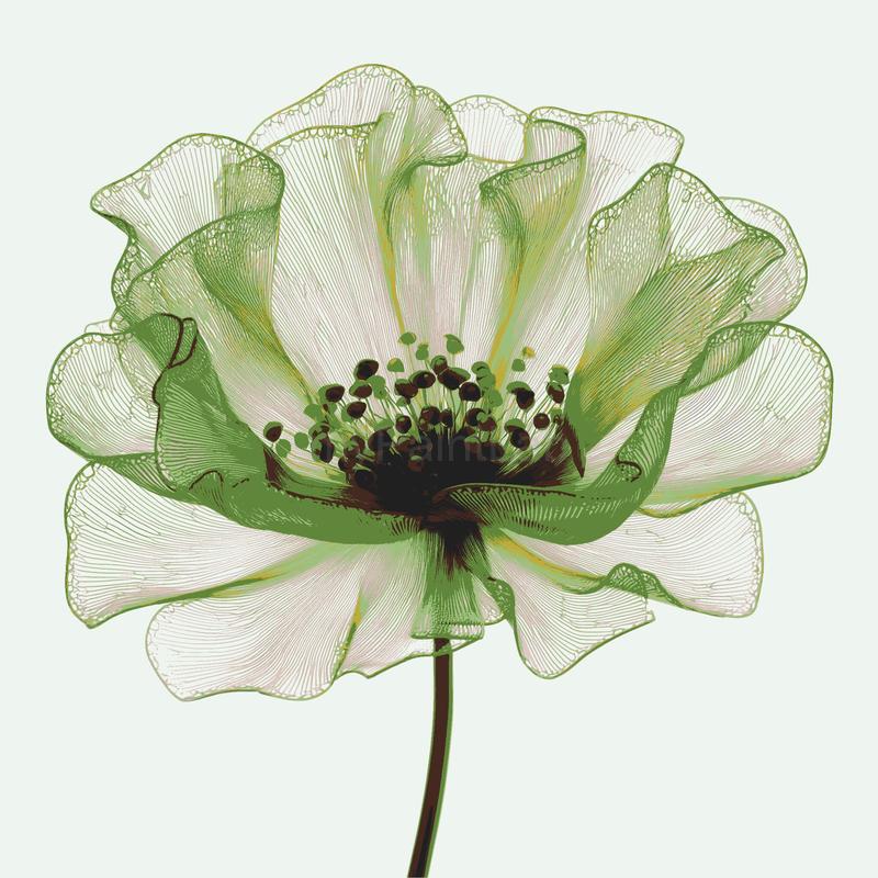 Malen nach Zahlen grune Blume