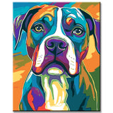 Malen nach Zahlen Hund Boxer Regenbogen bunt