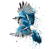 Malen nach Zahlen Vogel blau TierKunst