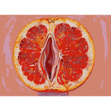 Malen nach Zahlen Grapefruit Abstrakt Modern Symbol Kunst
