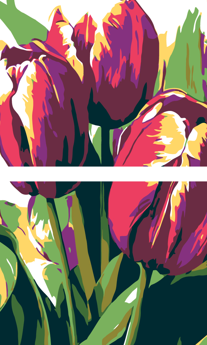Malen nach Zahlen Lila Tulpen 2-teilig