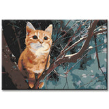Malen nach Zahlen Kunst Tier orangene Katze klammert am Ast