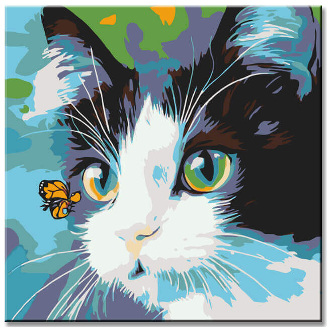 Malen nach Zahlen Kunst Malerei schwarze-weisse Katze