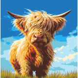 Malen nach Zahlen Highland Hochland Rind Portrait