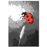 Malen nach Zahlen Marienkäfer