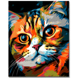 Scottish Fold Katze Malen nach Zahlen