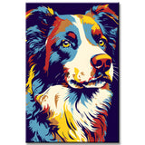 Bunte Border Collie - Malen nach Zahlen