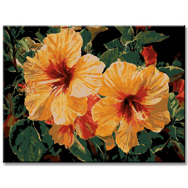 Malen nach Zahlen Blumen Iris orange