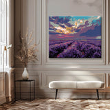 Malen nach Zahlen Bilder lavendelfeld