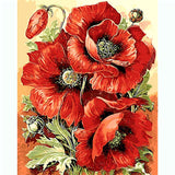 Bilder Malen nach Zahlen Mohnblumen