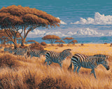 Malen nach Zahlen Tiere Zebra herde