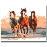 Malen nach Zahlen Tiere Pferdeherde im galopp