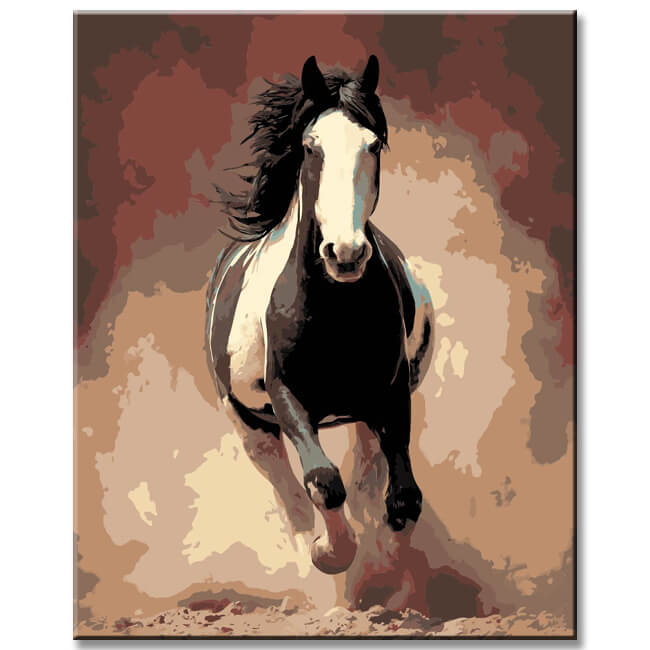 Malen nach Zahlen Pferde schwarz weisses pferd