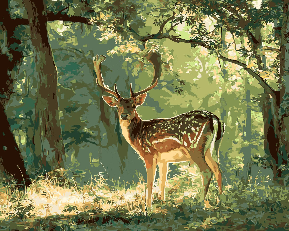 Malen nach Zahlen Pferde schwarz weisses