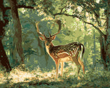 Malen nach Zahlen Pferde schwarz weisses