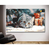 Malen nach Zahlen Weihnachten Katze