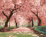 Malen nach Zahlen Bilder Kirschbaumallee