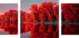 Malen nach Zahlen rosa Ufer - 3-teilig (Triptychon)-SS-084