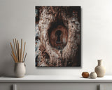 Malen nach Zahlen Türschloss Libelle