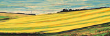 Malen nach Zahlen Panorama Felder Landwirtschaft