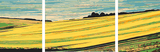 Malen nach Zahlen Landwirtschaft - 3-teilig (Triptychon) SS-168