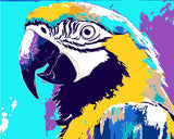 Malen nach Zahlen Papagei bunt