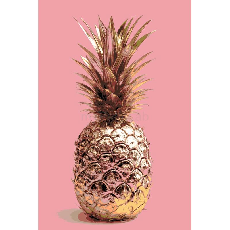 Malen nach Zahlen Ananas