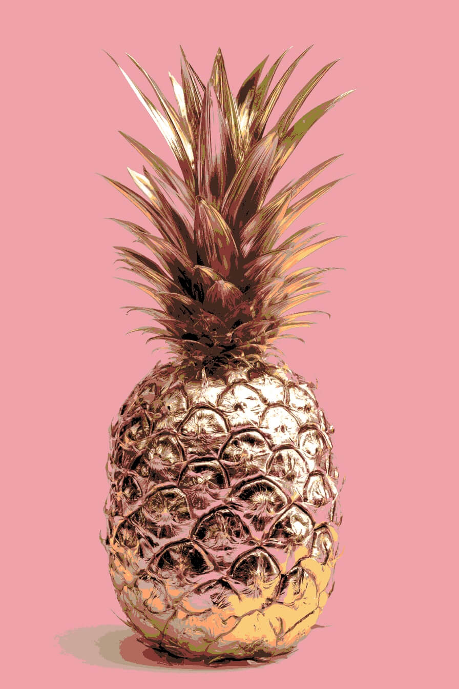 Malen nach Zahlen Ananas