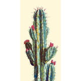 Malen nach Zahlen Kaktus 3