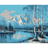 Malen nach Zahlen Berg Schnee