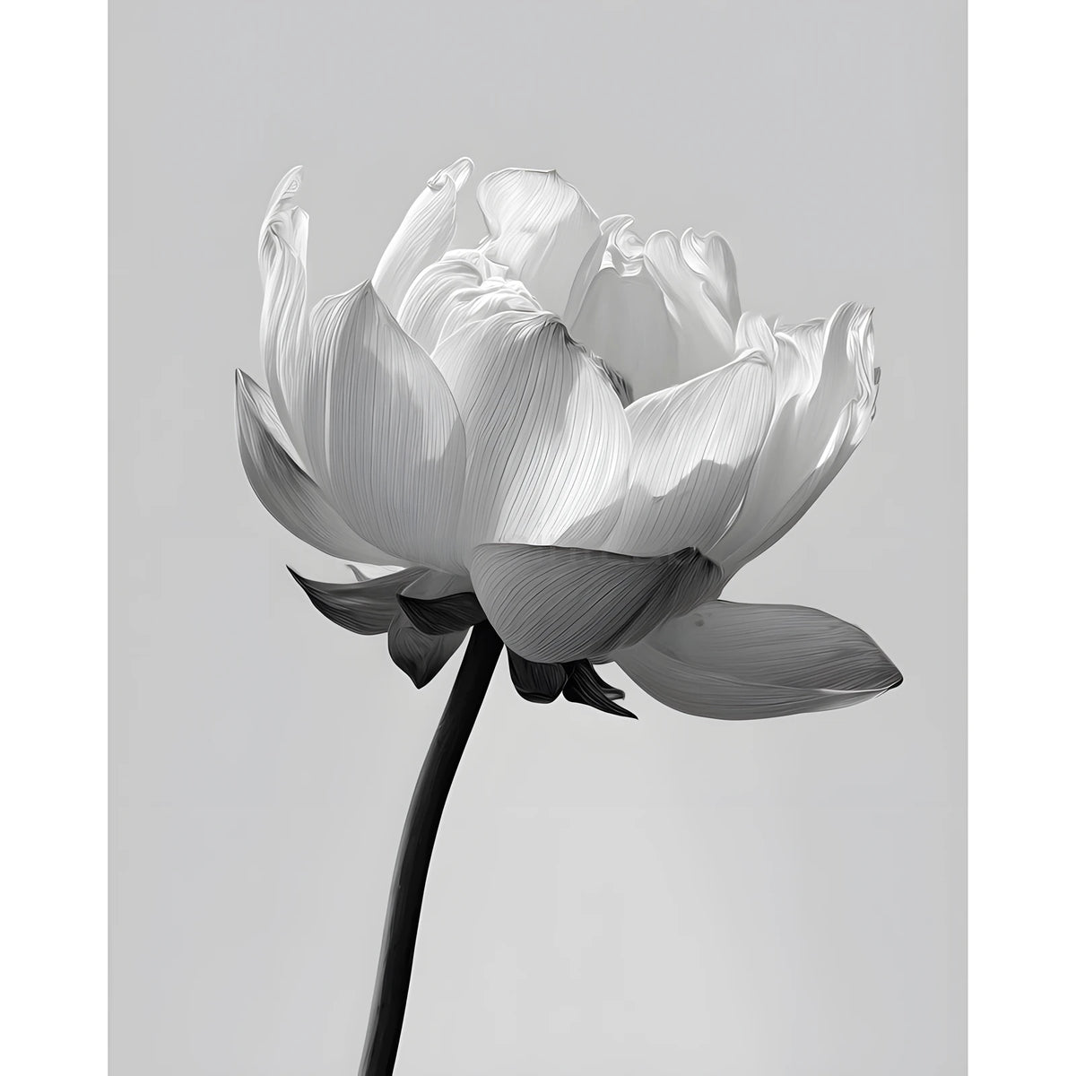 Malen nach Zahlen Blume schwarz weiss