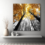 Malen nach Zahlen Laubwald SS-499