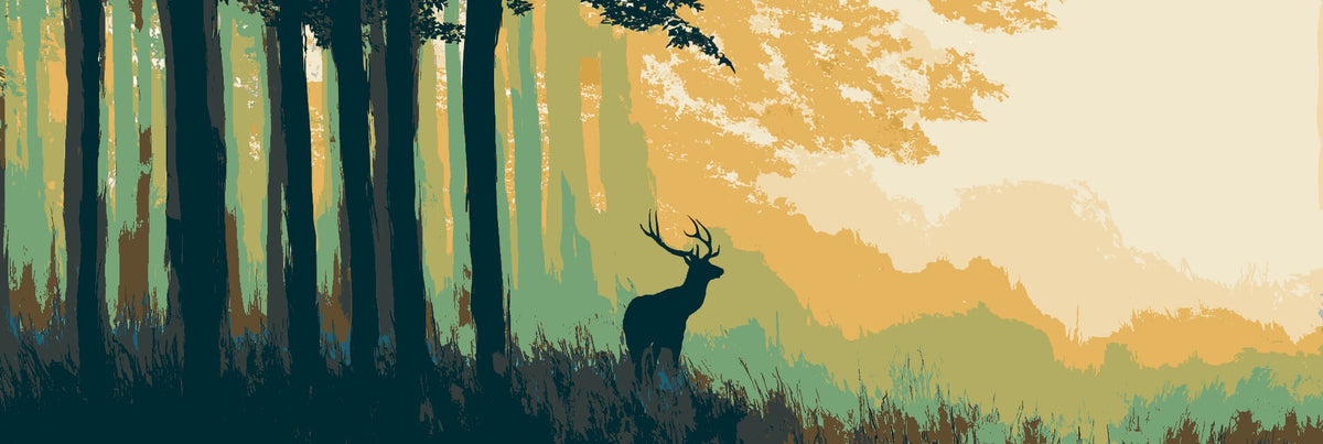 Maln nach Zahlen Wild im Wald