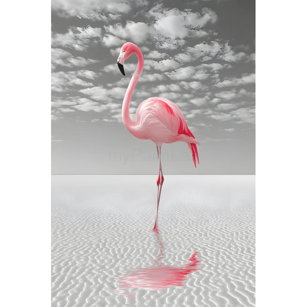 Malen nach Zahlen Flamingo am Ufer
