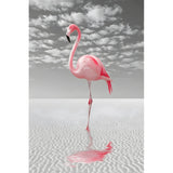Malen nach Zahlen Flamingo am Ufer