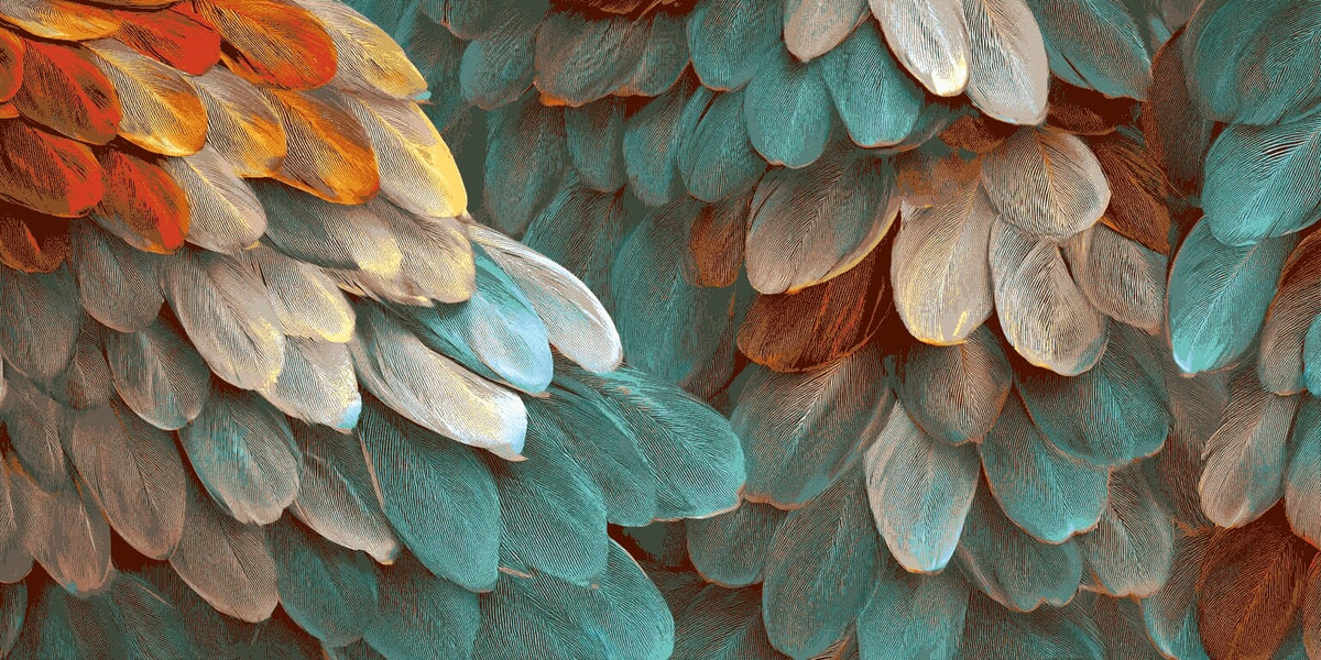 Malen nach Zahlen Federn