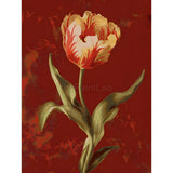 Malen nach Zahlen Blumen