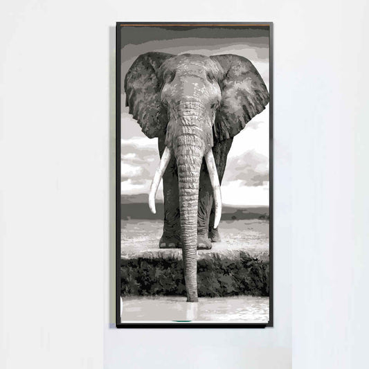 30*60cm  Elefant  950