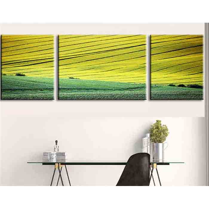 Painting by numbers Green Fields - 3 Panel